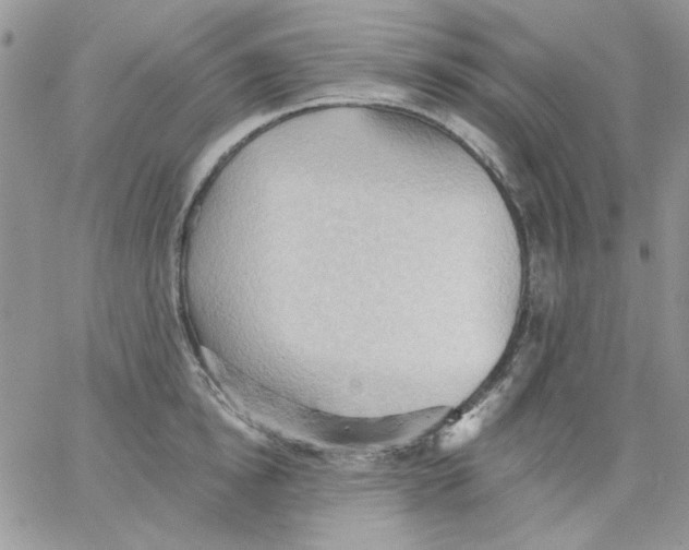 X0000062890854200602031805