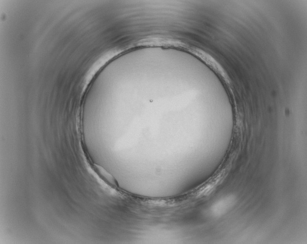 X0000062890855200602031805