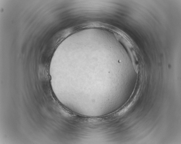 X0000062890857200602031805