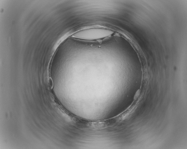 X0000062890858200602031805