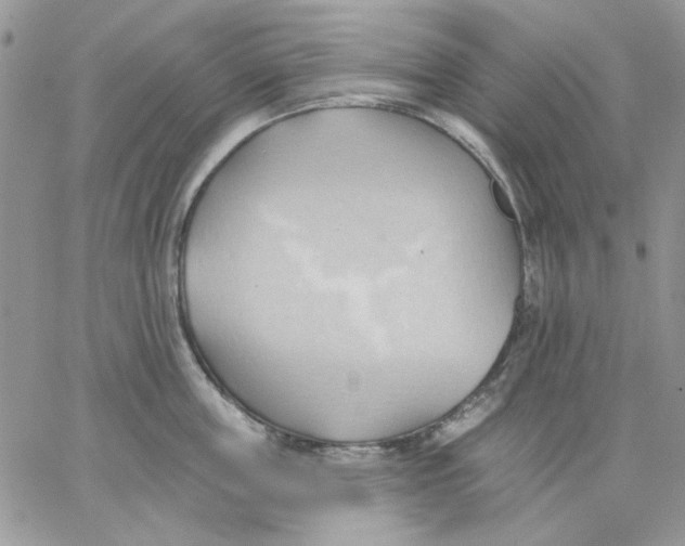 X0000062890859200602031805