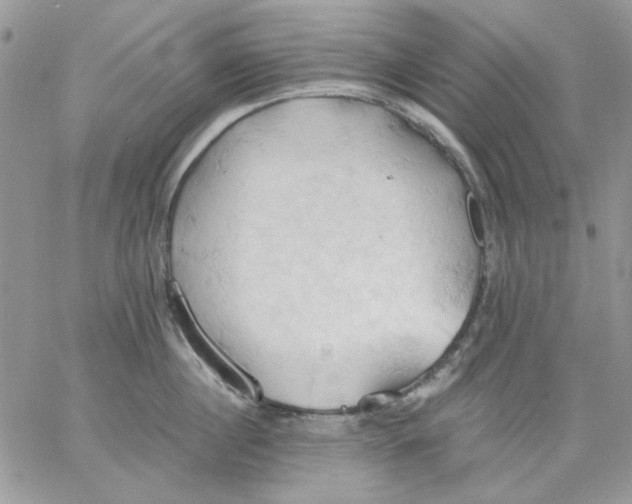 X0000062890860200602031805