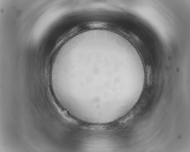 X0000062890861200602031805