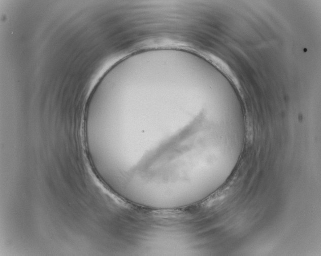 X0000062890863200602031805