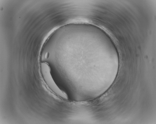 X0000062890864200602031805