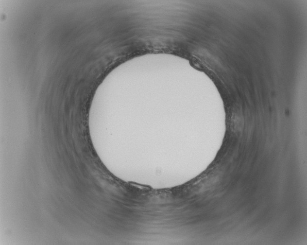 X0000062890865200602031805