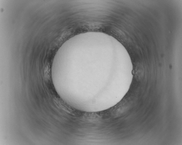 X0000062890866200602031805