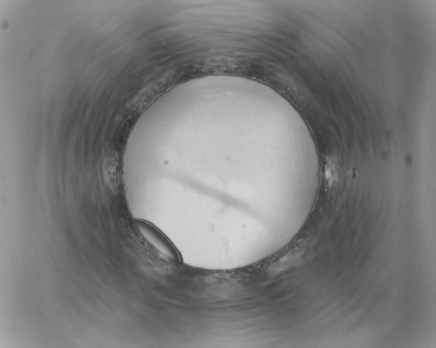 X0000062890867200602031805