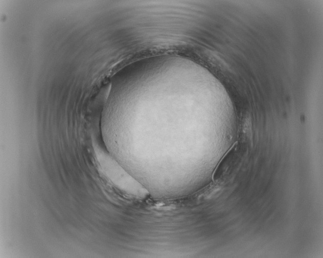 X0000062890868200602031805