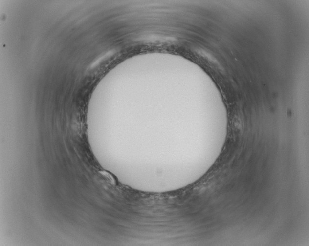 X0000062890869200602031805