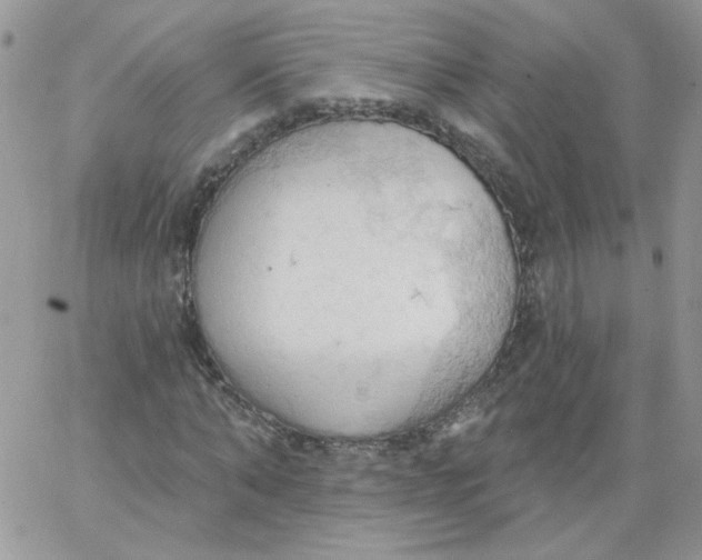 X0000062890870200602031804