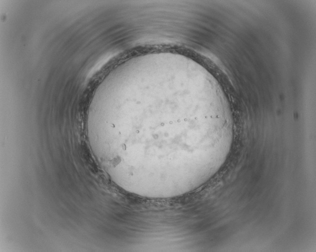 X0000062890871200602031804