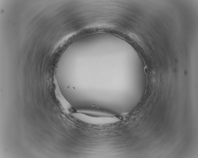 X0000062890872200602031804