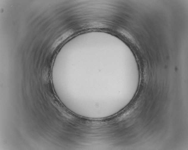 X0000062890873200602031804