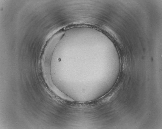 X0000062890876200602031804