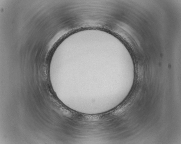 X0000062890878200602031804