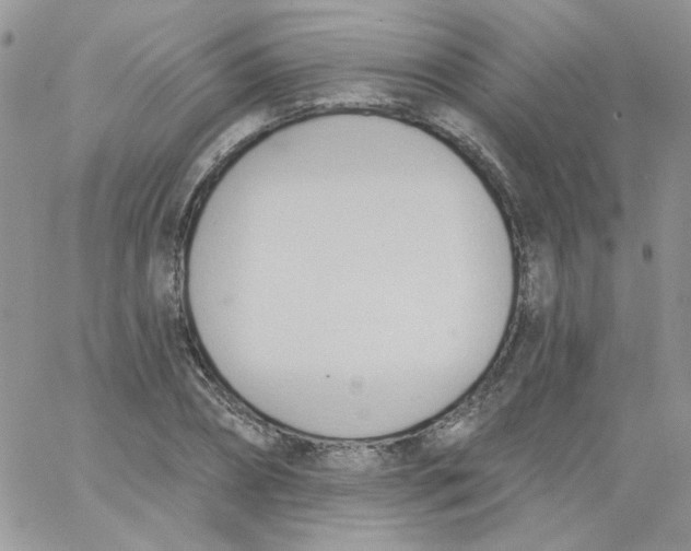 X0000062890882200602031804