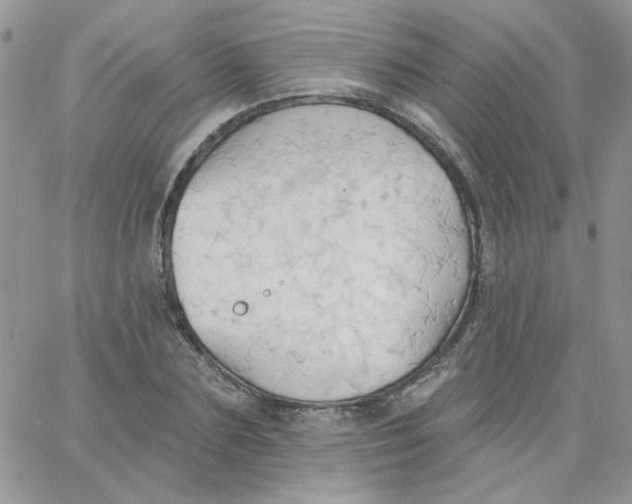 X0000062890883200602031804