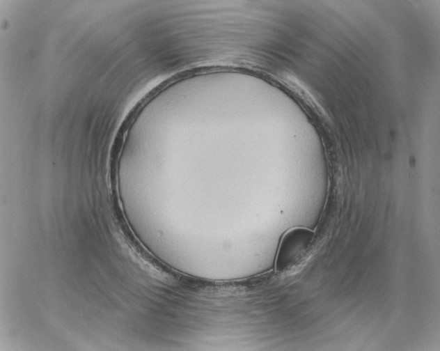 X0000062890884200602031804