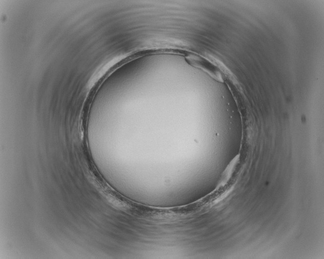 X0000062890885200602031804