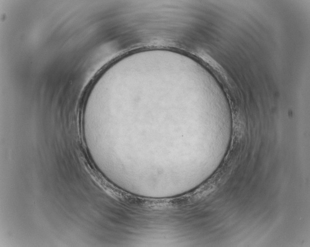 X0000062890886200602031804