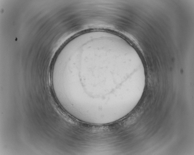 X0000062890887200602031804