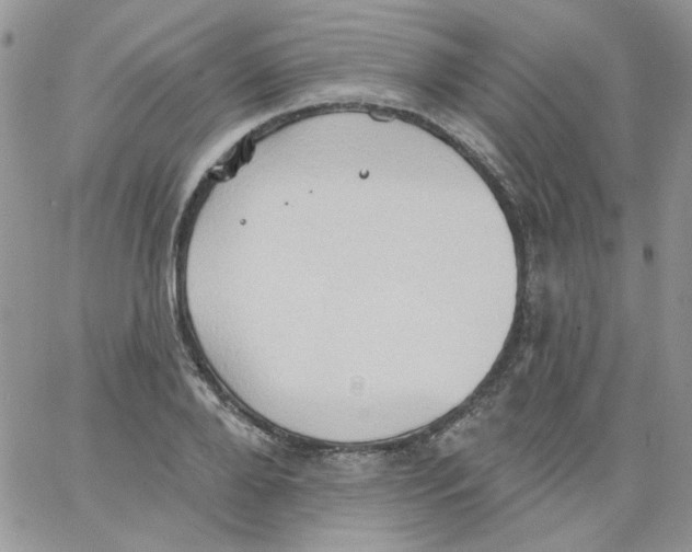 X0000062890888200602031804