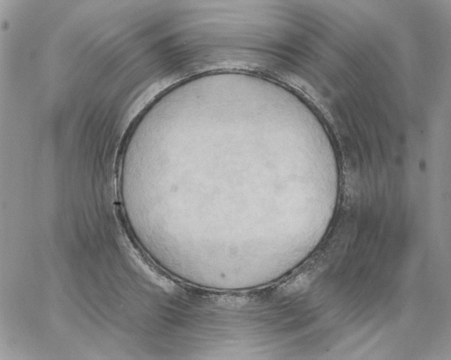 X0000062890890200602031804