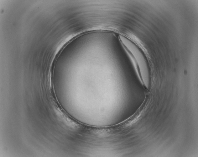 X0000062890892200602031804