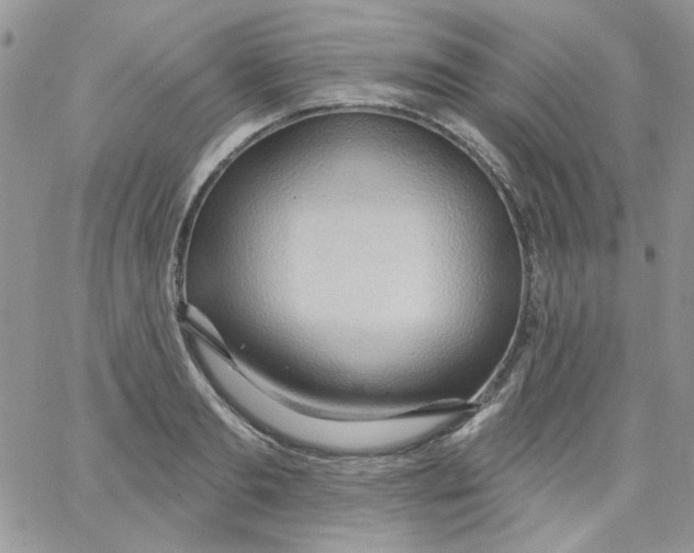 X0000062890893200602031804