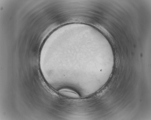 X0000062890896200602031804