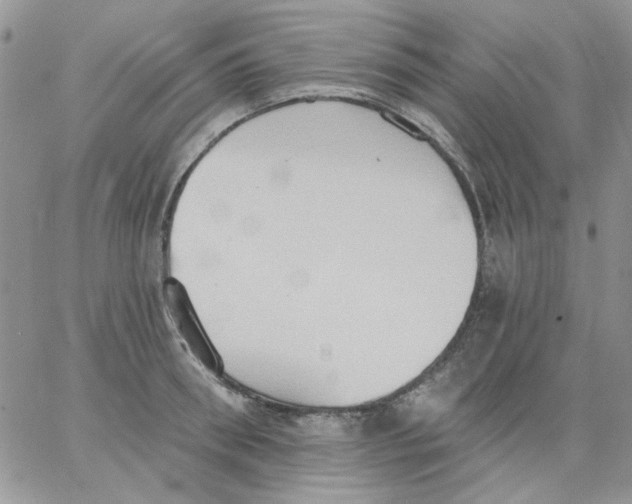 X0000062890898200602031804