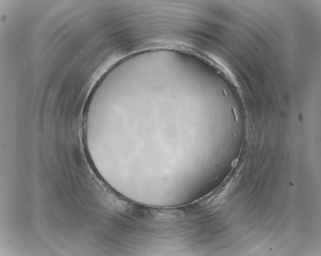 X0000062890899200602031804