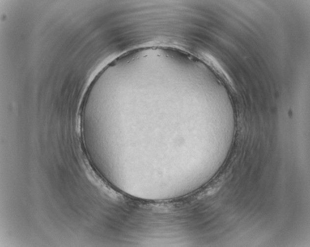 X0000062890900200602031804