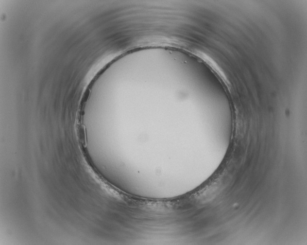 X0000062890901200602031804