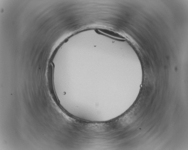 X0000062890902200602031804