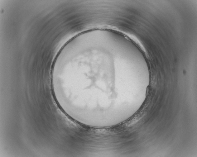 X0000062890903200602031804