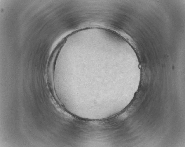 X0000062890904200602031804