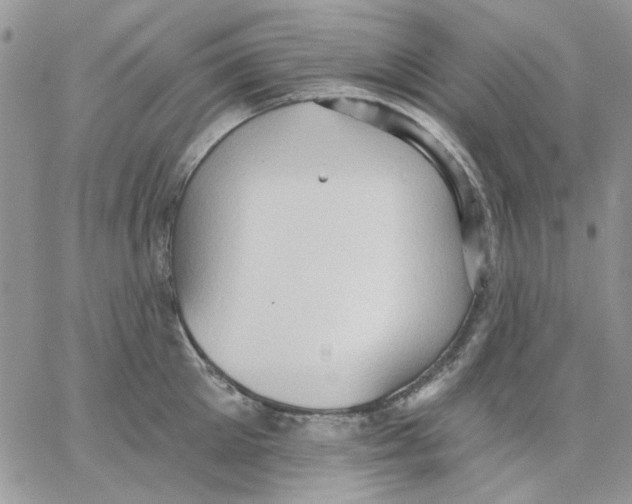 X0000062890905200602031804