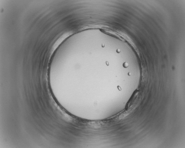 X0000062890906200602031804