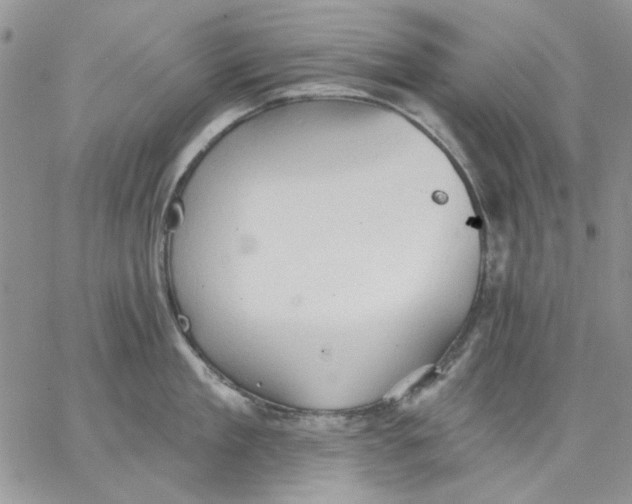 X0000062890909200602031804