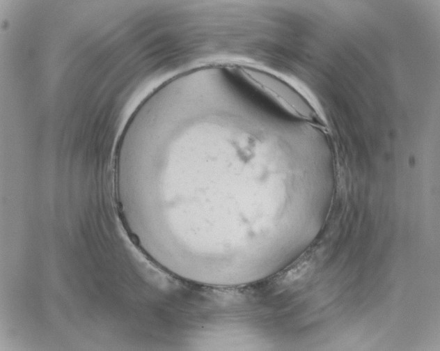 X0000062890911200602031804