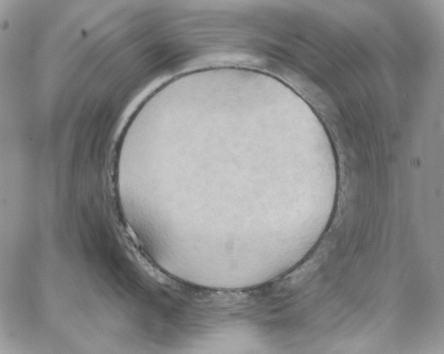 X0000062890912200602031804