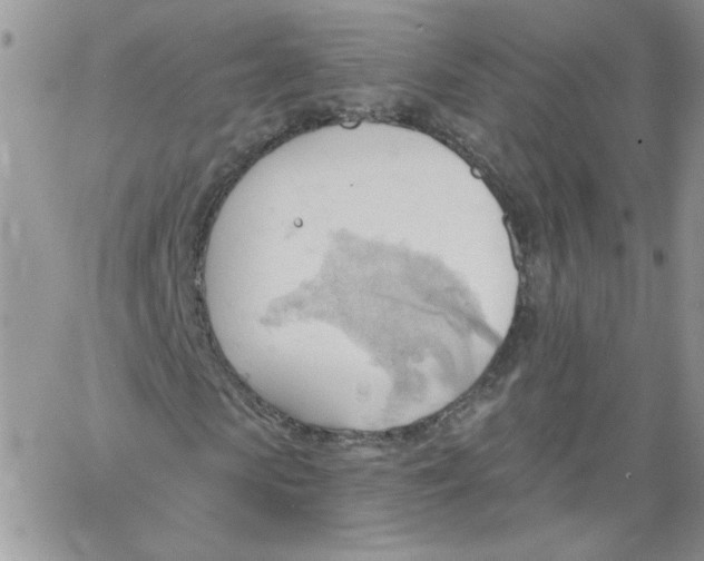 X0000062890913200602031803