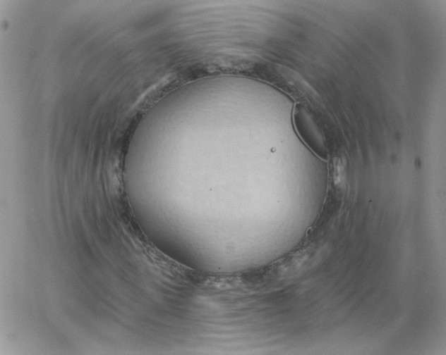 X0000062890915200602031803