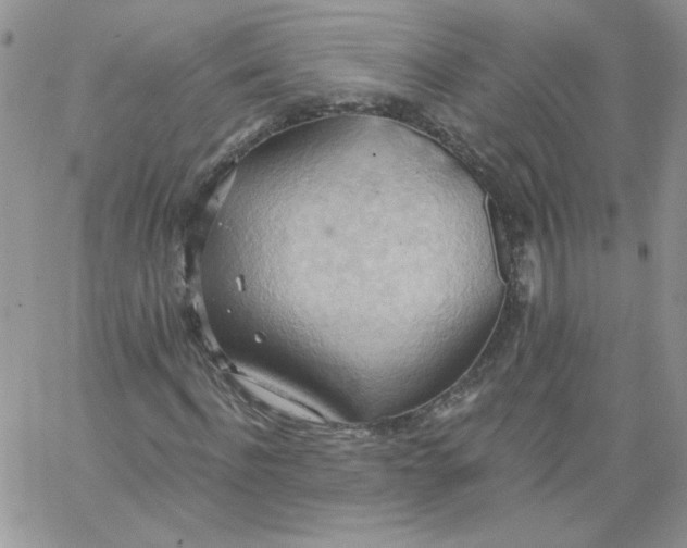 X0000062890916200602031803