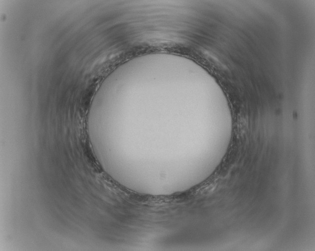 X0000062890917200602031803