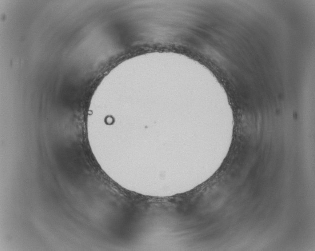 X0000062890918200602031803