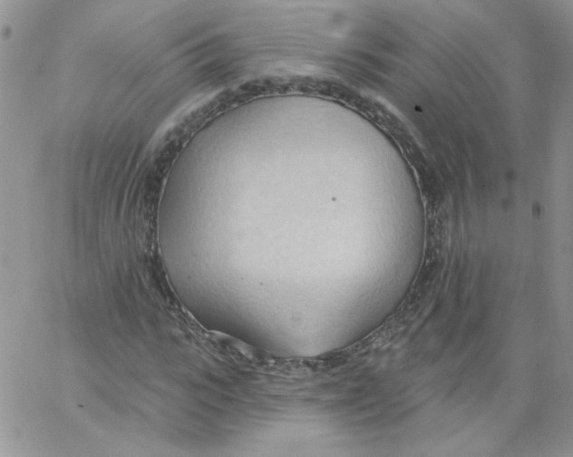 X0000062890919200602031803