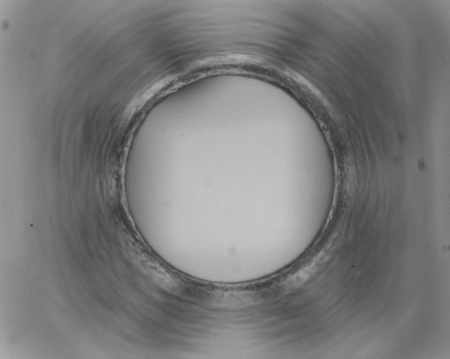 X0000062890921200602031803